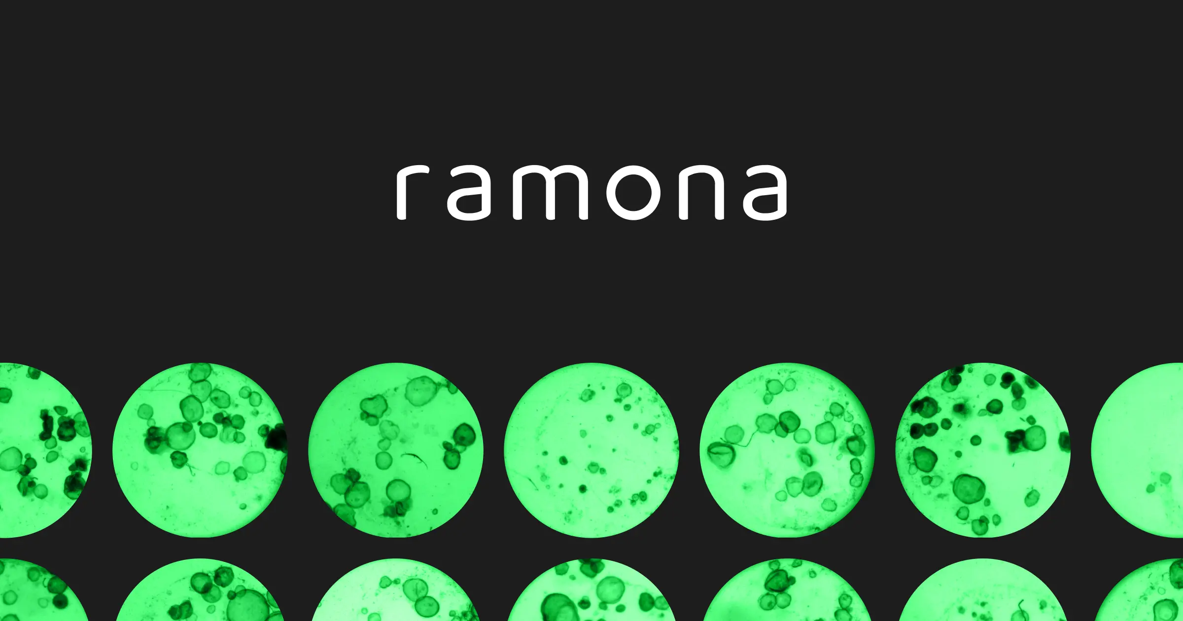 Ramona Optics